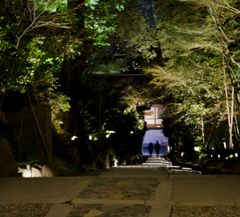 京都観光６　高台寺石段