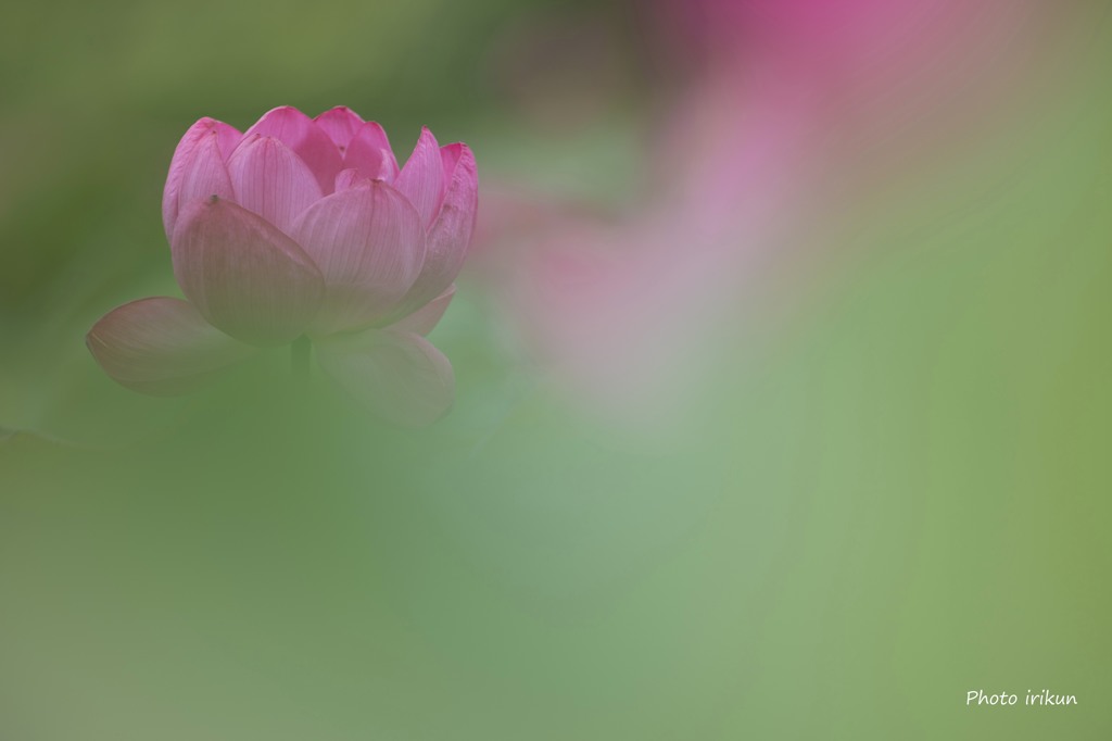 控えめに