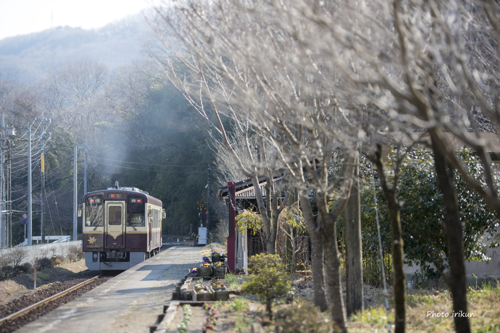 上神梅駅 春...近いです。