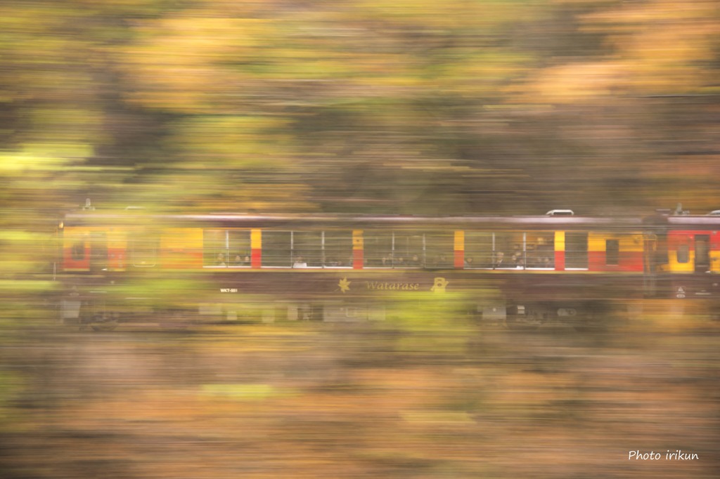 紅葉狩り