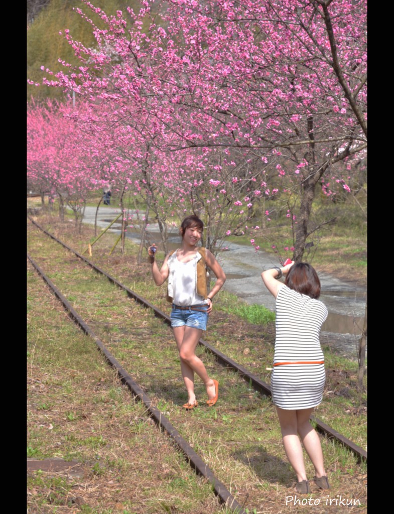 桃の妄想