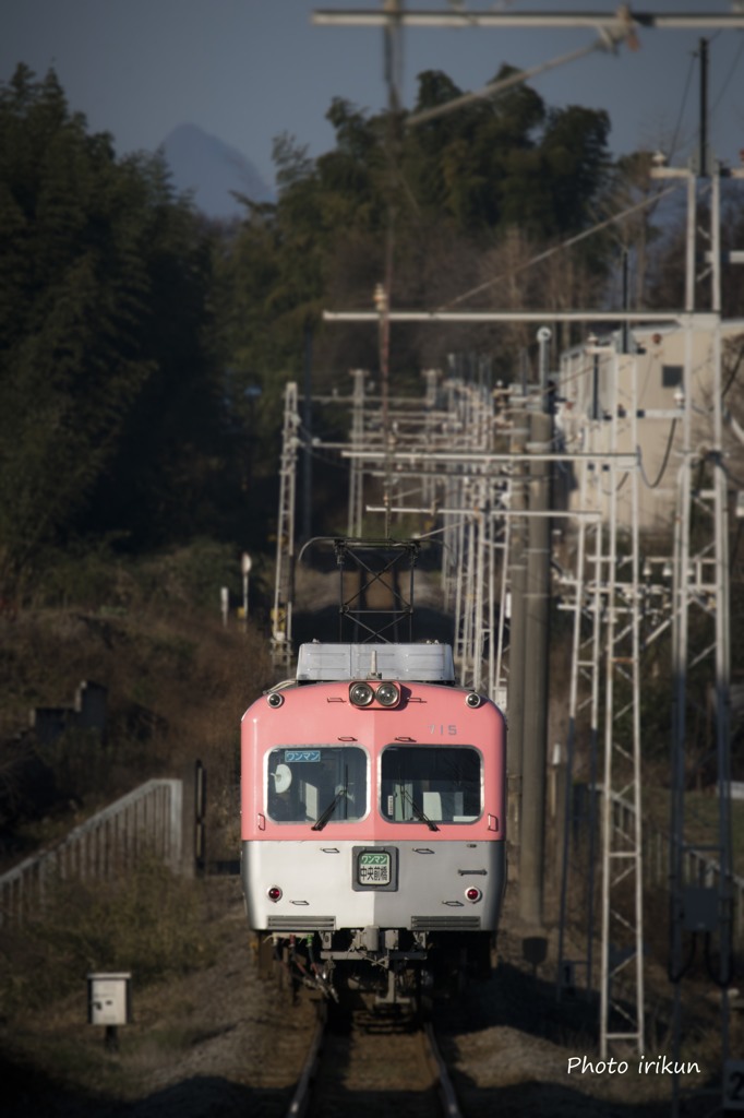 上州路を元気に走ってます。