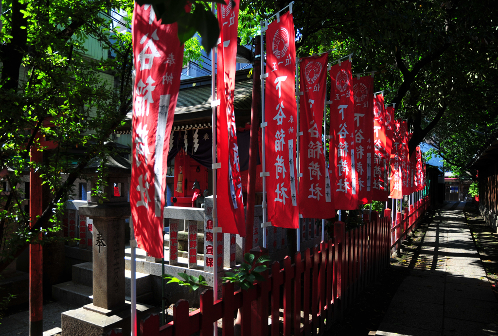 祭りの朝