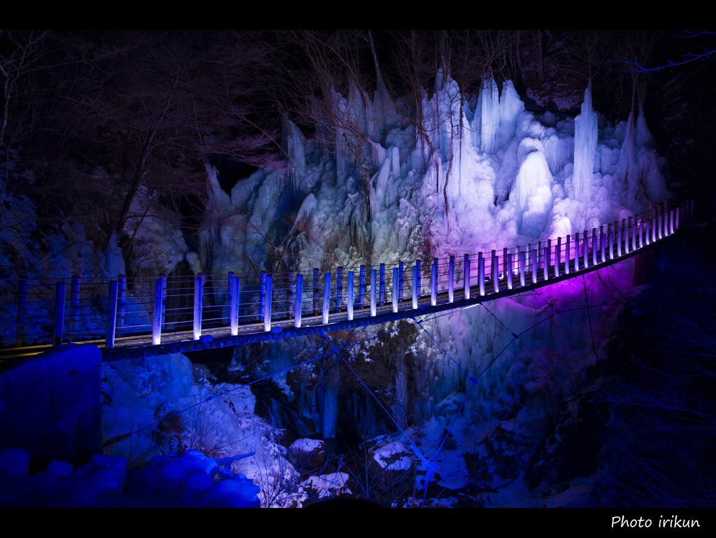 虹の架け橋