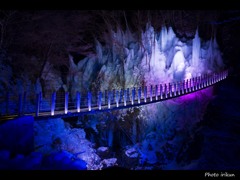 虹の架け橋