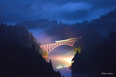 ナイトツアー