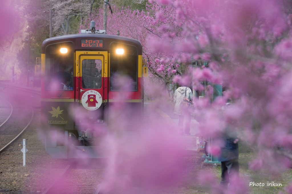 花桃の駅