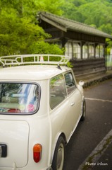似合います