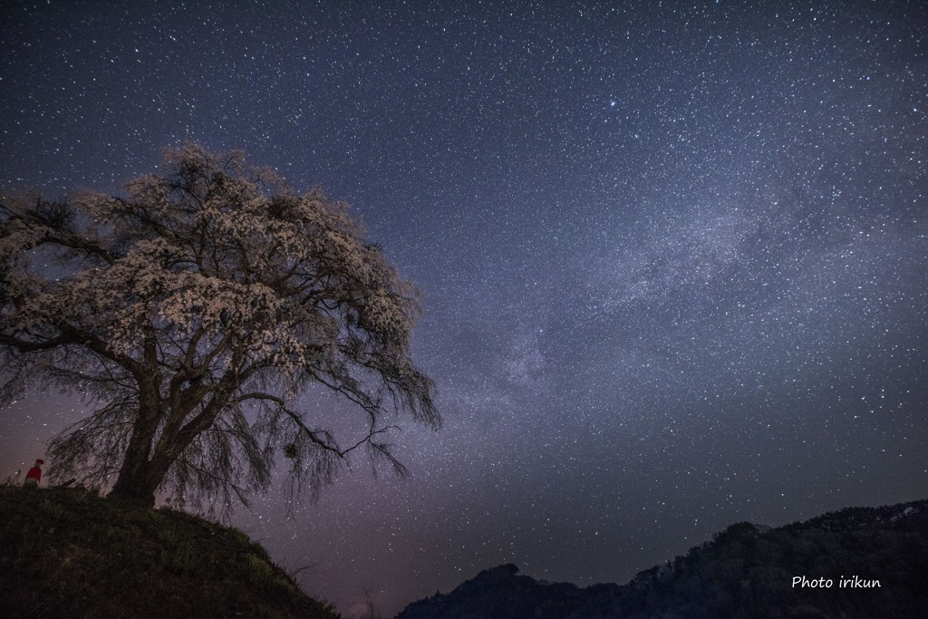 上発知の夜