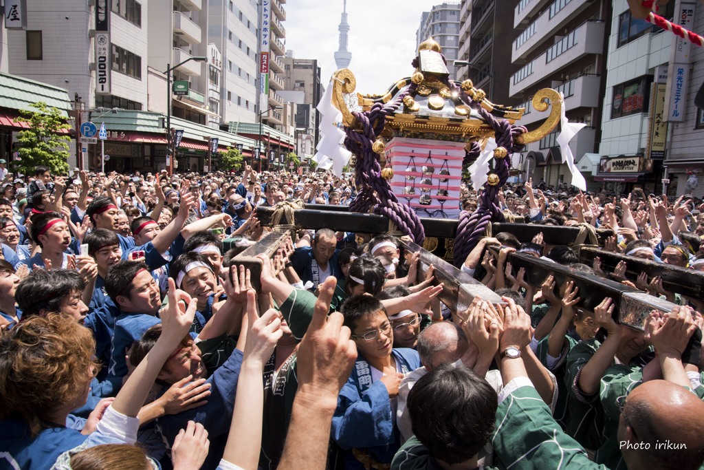 三社祭2015　16