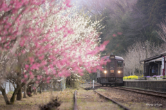 上神梅駅の梅