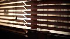 Wind Shades