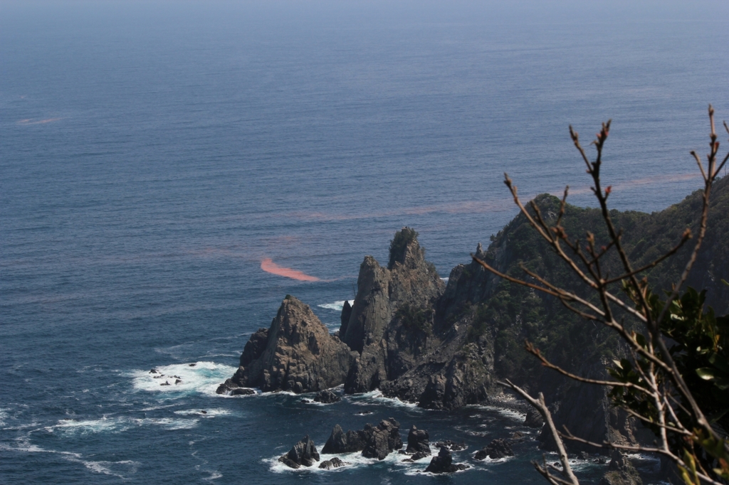 日本海