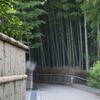 竹が待ってる