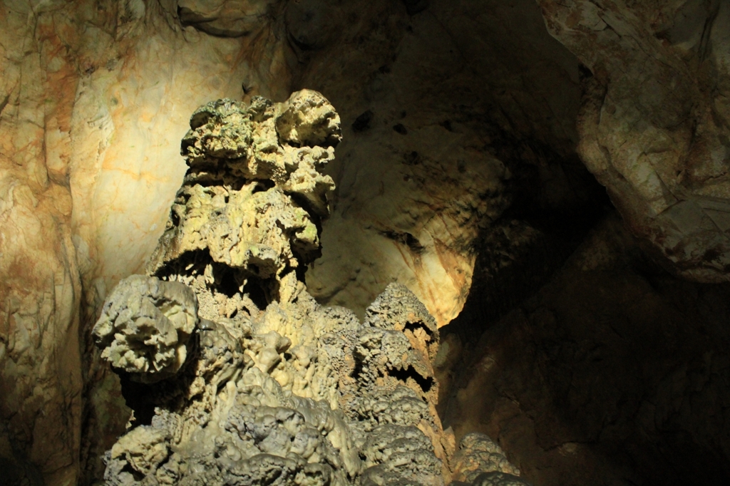 The king of the cave