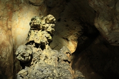 The king of the cave