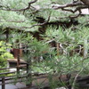 こんなとこに住みたい
