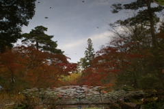 水鏡