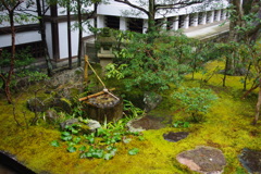 御寺　泉湧寺