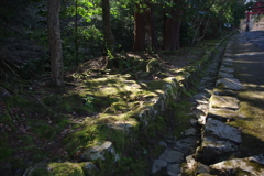 日吉大社　参道