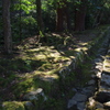 日吉大社　参道