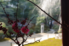 比叡山　里坊　旧竹林院