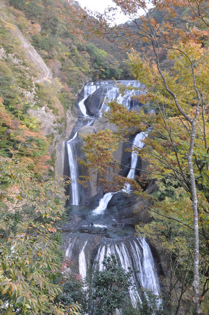 袋田の滝と紅葉