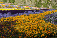 千葉市花の美術館