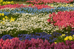 千葉市花の美術館