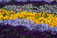 千葉市花の美術館