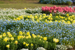 千葉市花の美術館