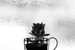 虚無