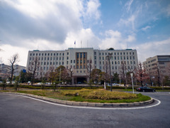 大阪市府