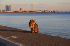 黄昏れるぜ
