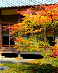 秋・雷山千如寺