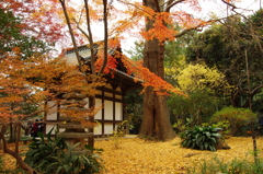 秋色家屋