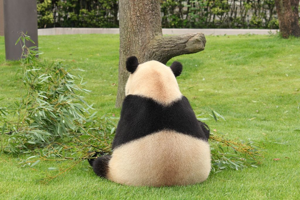 夢中