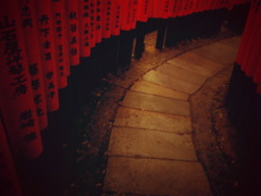 この先を曲がれば