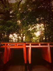 えらぶこと。すすむこと。