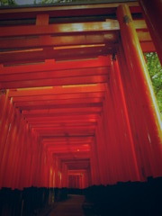 どこまで行けば