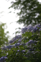 IMG_5166