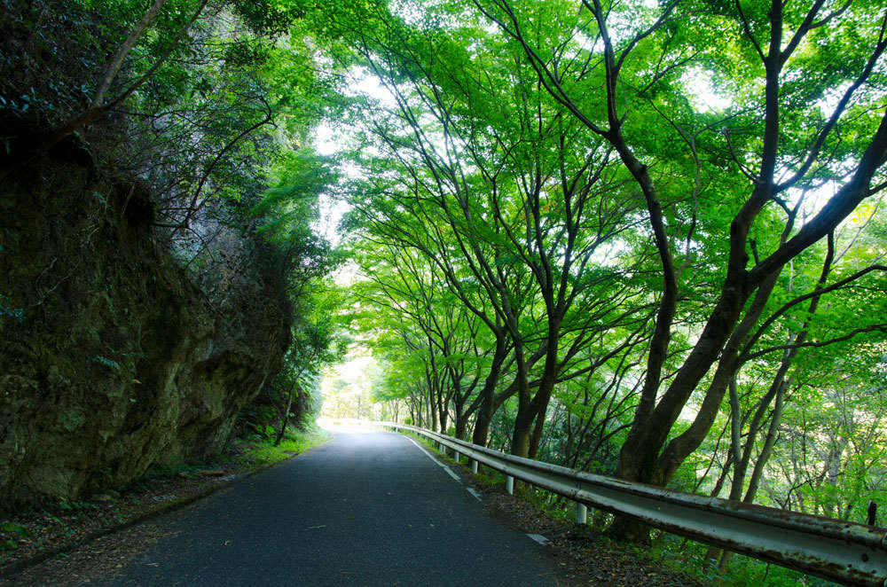 竜門峡へと続く道