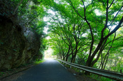 竜門峡へと続く道