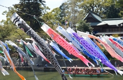 春風を泳ぐ