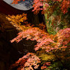 神社と紅葉