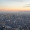 富士と夕焼けと東京タワー
