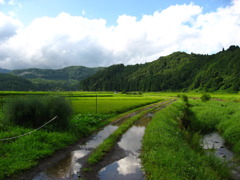 あめあがり