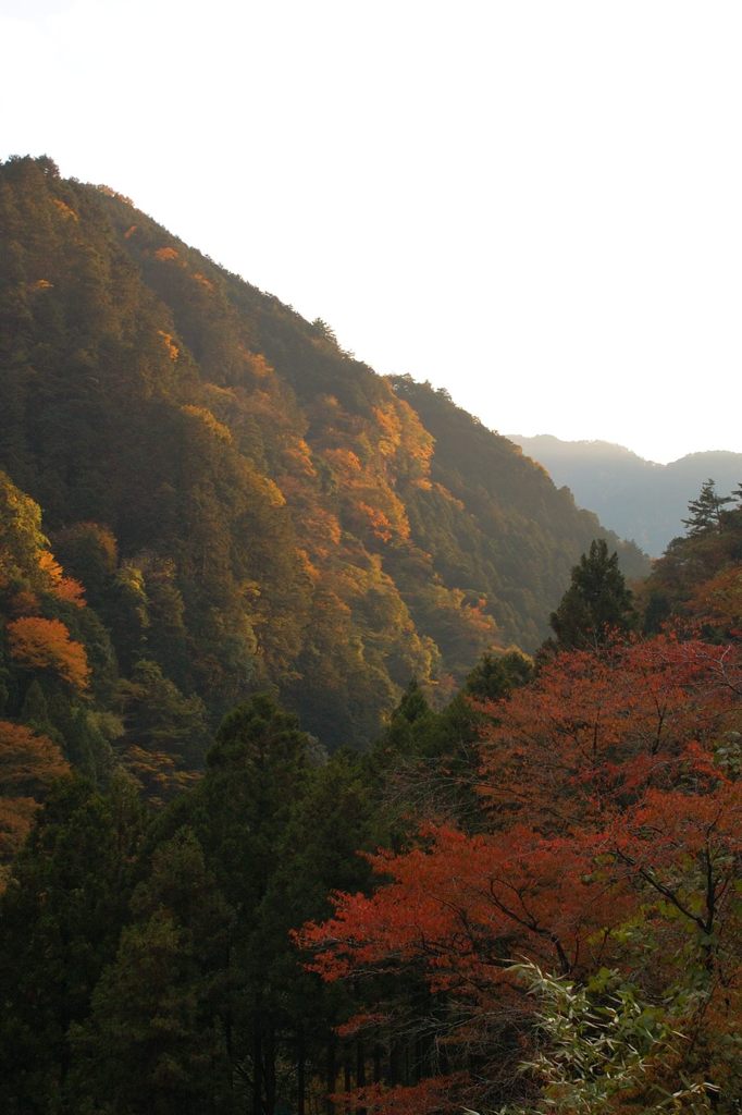 鳩の巣渓谷の紅葉_022