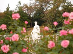 バラ園_020