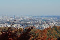 高尾山の紅葉_004